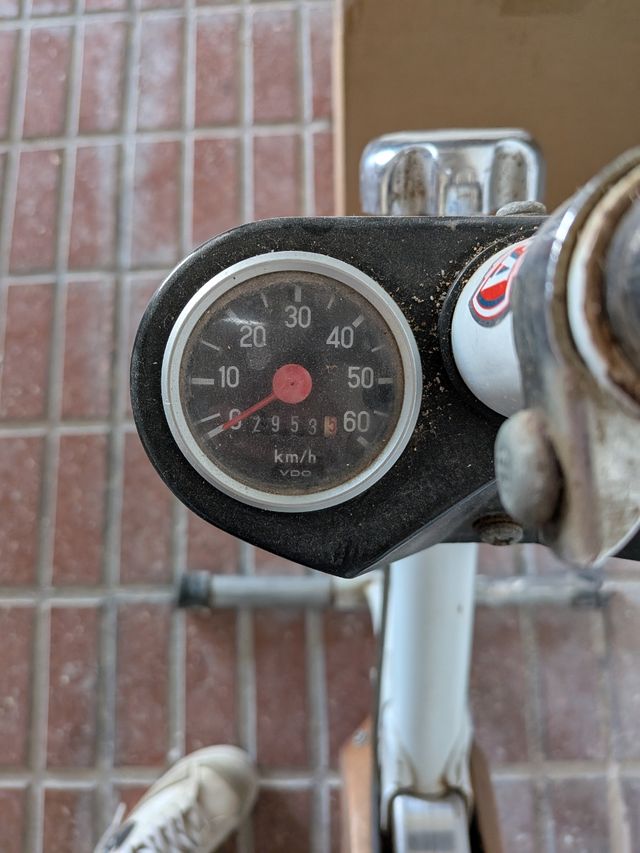 Bicicleta Estática Vintage BH