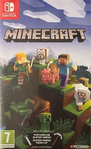 Minecraft Nintendo Switch