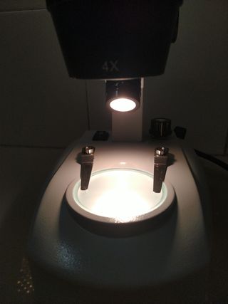Estereoscopio/Microscopio con maletín de aluminio