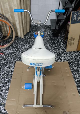Bicicleta Estática BH Vibrocycle