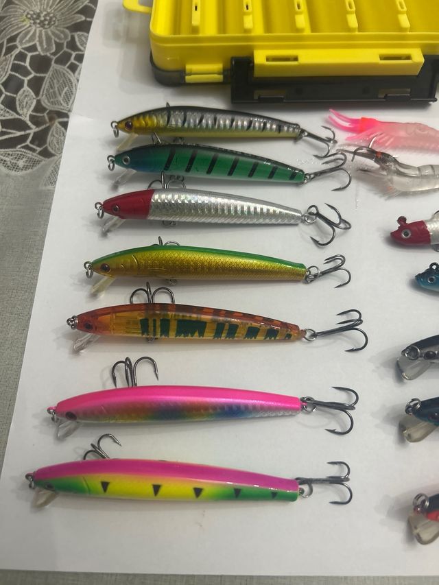 Lote de 14 señuelos + estuche para spinning