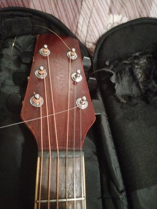 Guitarra Electroacústica Japonesa