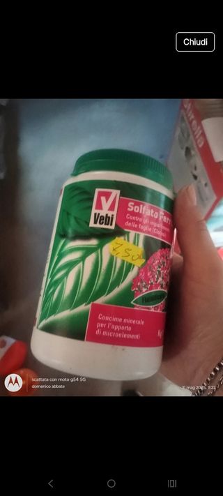 Vebi Solfato Ferro Concime Minerale