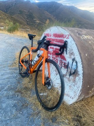 Orbea Orca