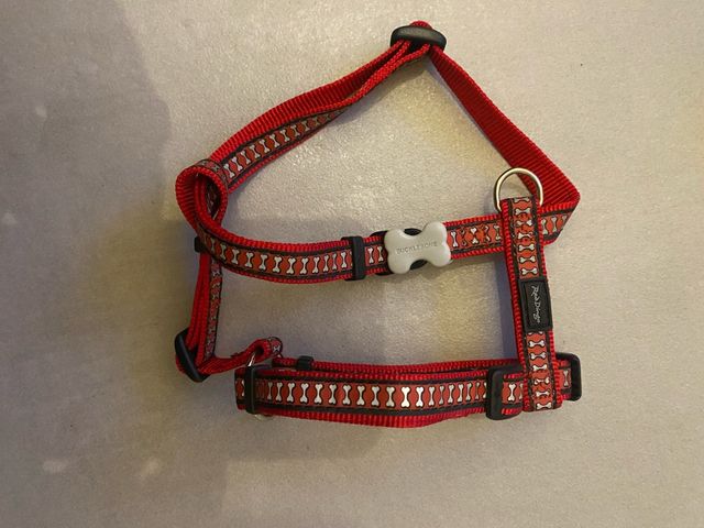 Pettorine da passeggio taglia S- XS