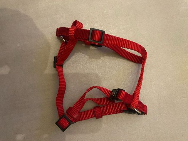 Pettorine da passeggio taglia S- XS