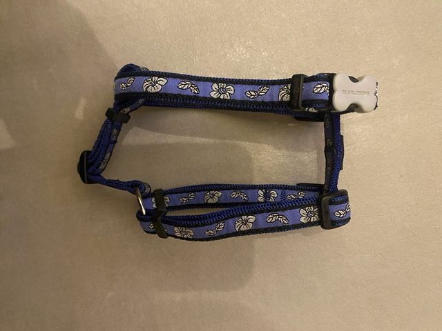 Pettorine da passeggio taglia S- XS