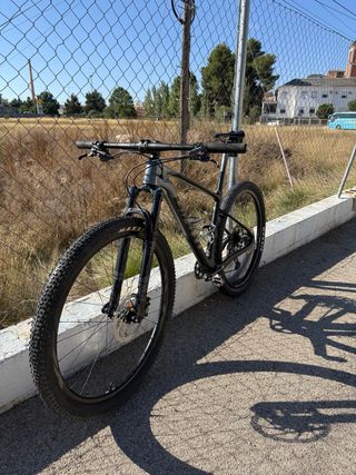 Giant XTC Carbono 29