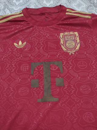 Camiseta Bayern Múnich Edición Especial 24/25