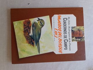 Pájaros del bosque III. Cuadernos de campo.