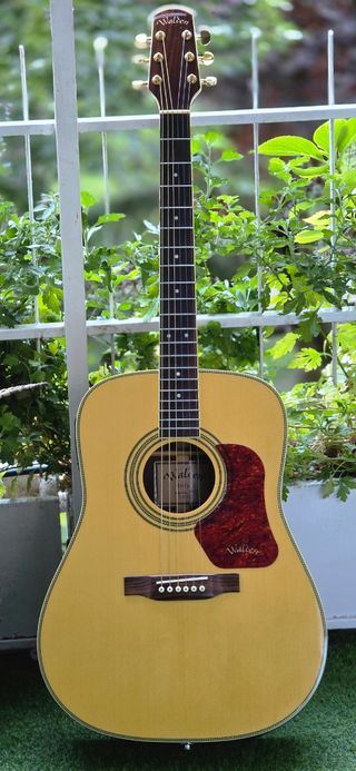 Walden Guitarra Electroacústica