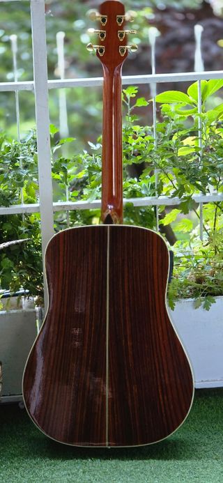 Walden Guitarra Electroacústica
