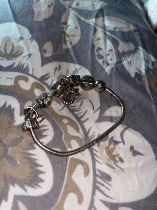 Pulsera Pandora Plata con Dijes (verdadera)