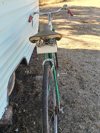 Bicicleta Clásica Verde
