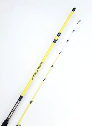 COMBO EGING,  CAÑA SEPIA, CARRETE PESCA 
