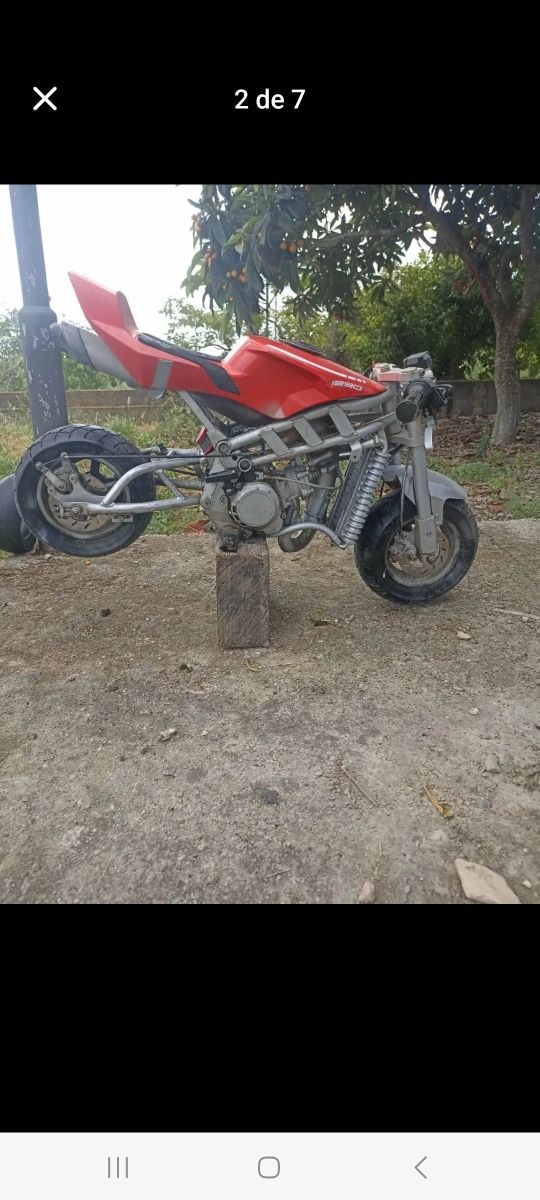 Minimoto Blata Competición