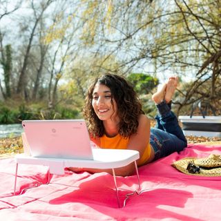 Cesta Picnic Plegable con Mesa Nueva