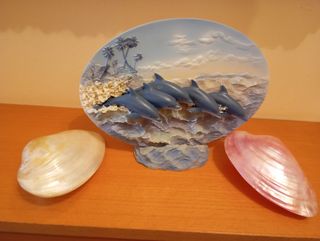 Decorazione con delfini e conchiglie