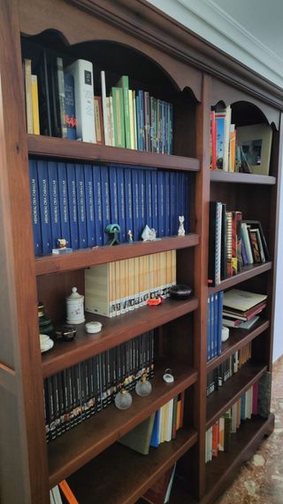 Librería de madera marrón