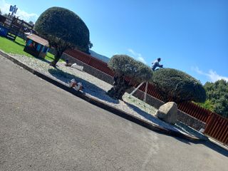 Limpieza parcelas jardines y vallado