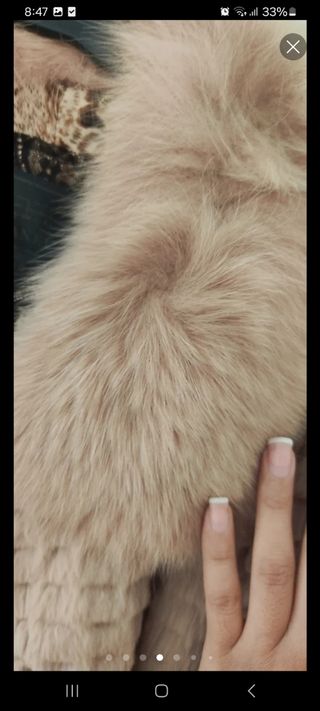 Abrigo de pelo beige 