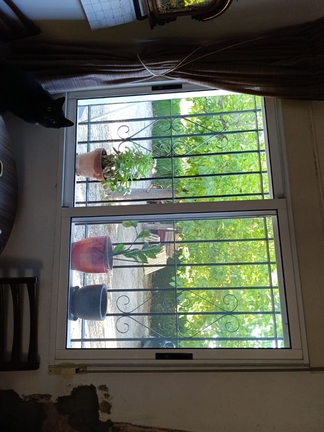 6 Ventanas con rejas de seguridad
150€ por ventana