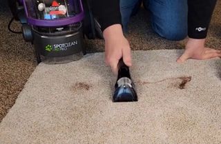 ¡ALQUILA ASPIRADORA TAPICERIAS QUITAMANCHAS!