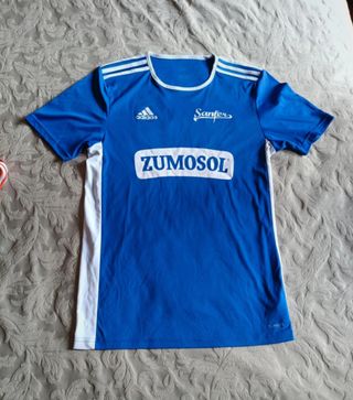 Camisetas Adidas Climalite Talla M y L