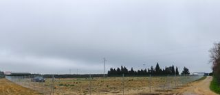 Alquiler finca rústica Carmona. A pie de carretera