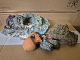 Mangiatoia temporizzata più rocce ornamento