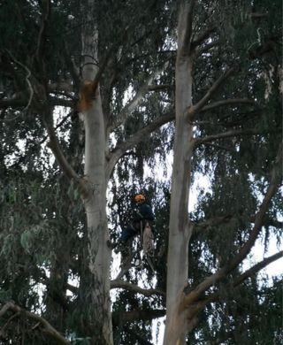 Trabajos verticales