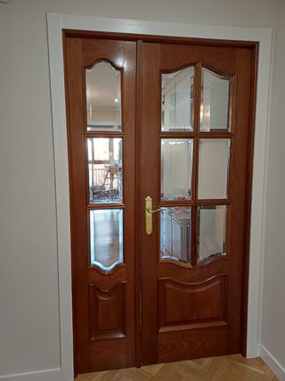 Puerta salón doble de madera con cristal