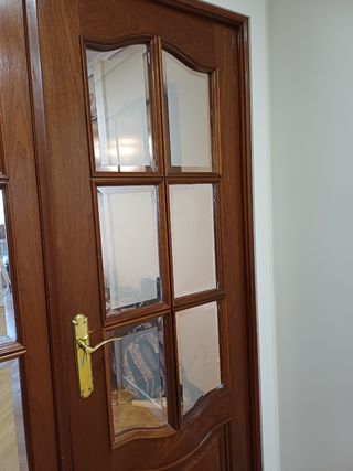 Puerta salón doble de madera con cristal