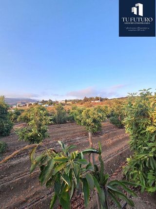 Terreno en venta en Algarrobo en Algarrobo