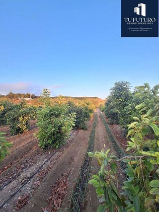 Terreno en venta en Algarrobo en Algarrobo