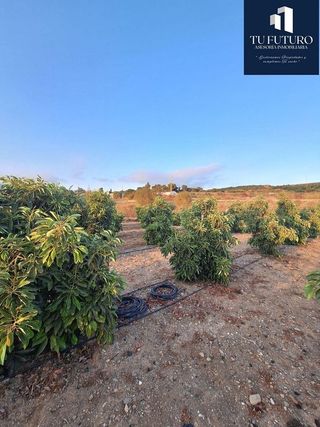 Terreno en venta en Algarrobo en Algarrobo