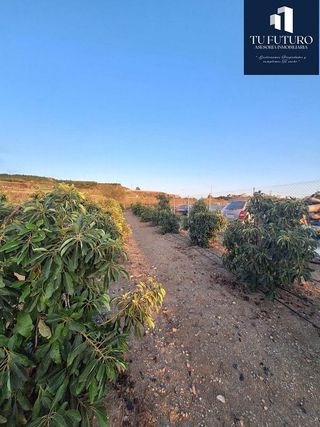 Terreno en venta en Algarrobo en Algarrobo