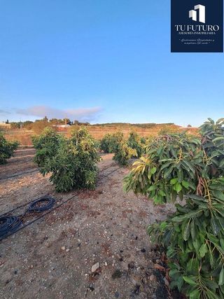 Terreno en venta en Algarrobo en Algarrobo