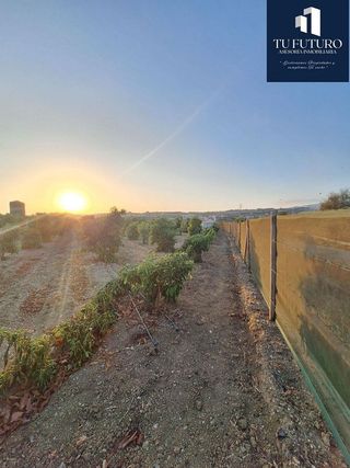 Terreno en venta en Algarrobo en Algarrobo