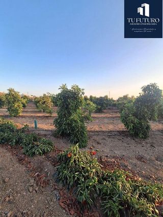 Terreno en venta en Algarrobo en Algarrobo