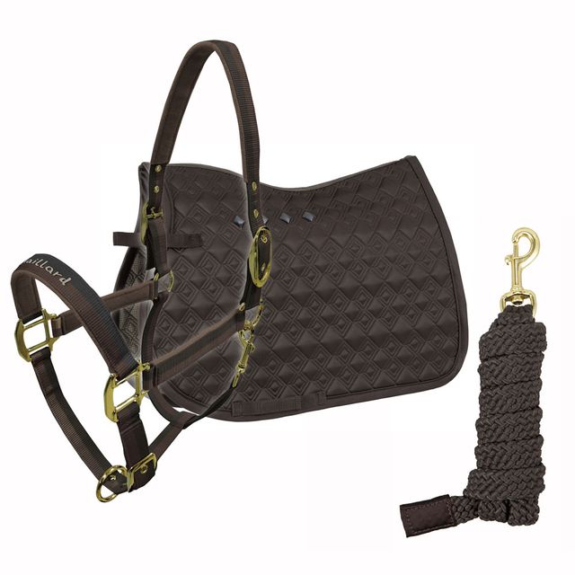 CONJUNTO SUDADERO CABEZADA RAMAL HORSE NUEVO ENVIO