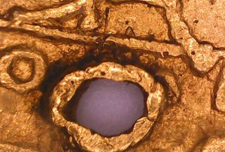 Sólido de oro de Anastasio 491d.c.