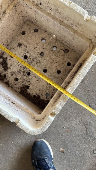 Macetero para frambuesas y arándanos