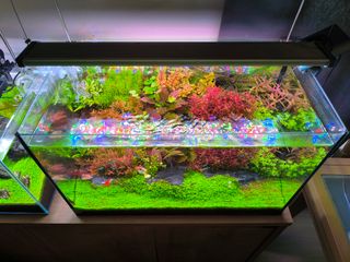 Acuario 60p 68litros