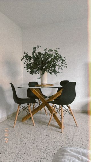 Sedie nordiche in legno nero