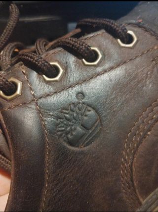 Náuticos invierno Timberland 