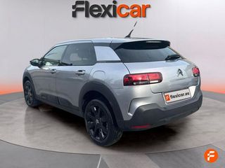 Citroën C4 Cactus PureTech 81KW (110CV) S&S EAT6 Shine