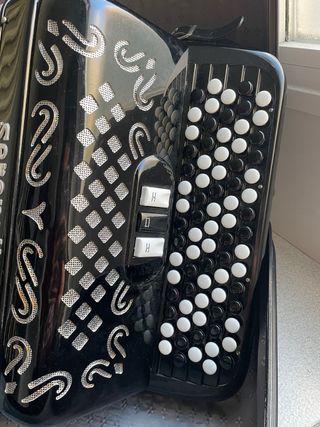 Acordeón Serenillini 120 bajos