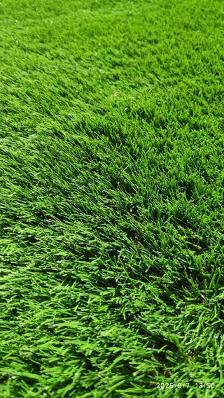 Césped artificial 28 mts. Aneto 37mm.(en 4 rollos)