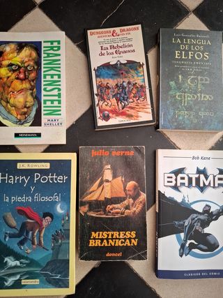 Lote libros 